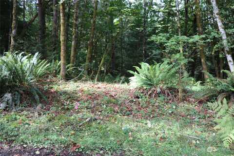 Mccary Road Sw, Port Orchard, WA 98366