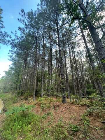 Liberty Ridge Rd, Hohenwald, TN 38462