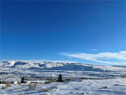 Lot Parks Drive, Okanogan, WA 98840