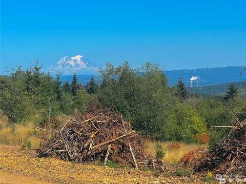 Sawall Avenue W, Centralia, WA 98531