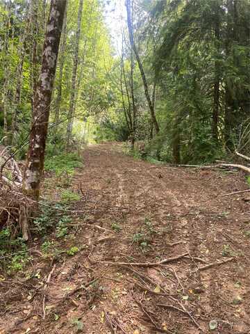 Lot 2 Coal Creek Road, Longview, WA 98632