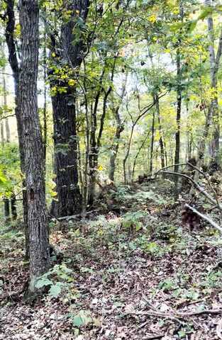 State Hwy C, Unit Tract 9-12, Purdy, MO 65734