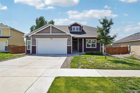Canvasback, EVANS, CO 80620