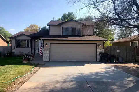 Chestnut, WINDSOR, CO 80550