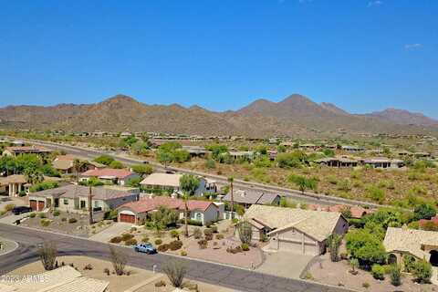 Tumbleweed, FOUNTAIN HILLS, AZ 85268