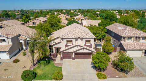 Macaw, GILBERT, AZ 85297