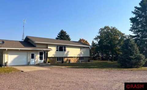 280Th, SLEEPY EYE, MN 56085