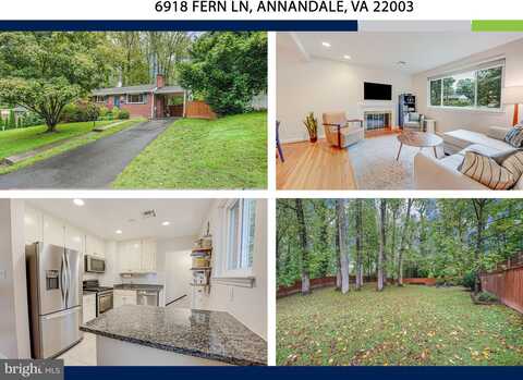 Fern, ANNANDALE, VA 22003