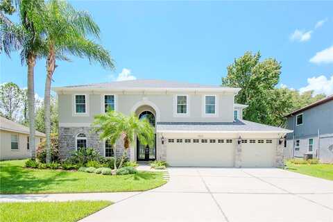 Minnow Brook, LAND O LAKES, FL 34637