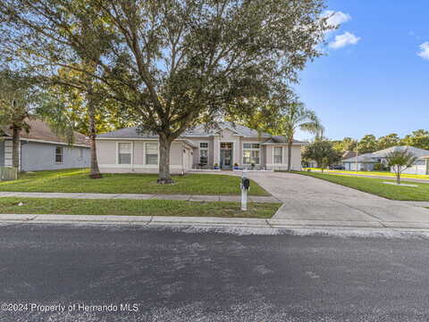 Brackenwood, SPRING HILL, FL 34609