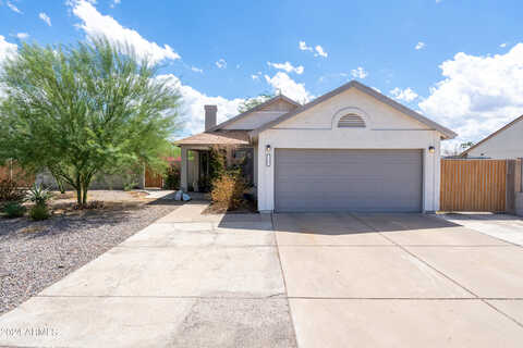 Aster, GLENDALE, AZ 85304