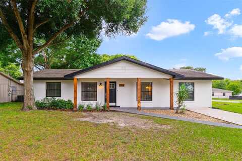 Old Mount Dora, EUSTIS, FL 32726