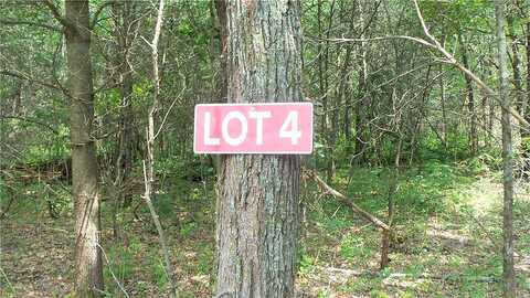 Lot 4 Bur Oak Trl, Grantsburg, WI 54840