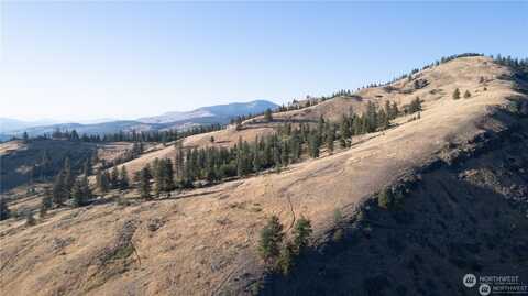 Tbd Frosty Creek Road, Tonasket, WA 98855