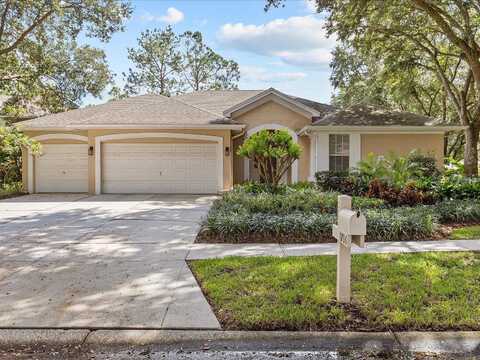 Ashworth, TAMPA, FL 33647