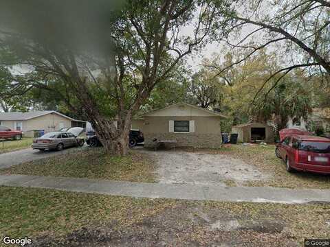 Dolphin, TAMPA, FL 33617
