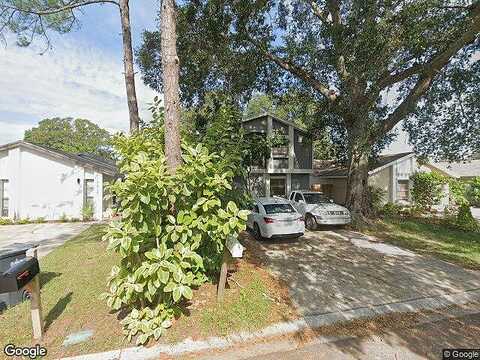 Rosemount, TAMPA, FL 33624