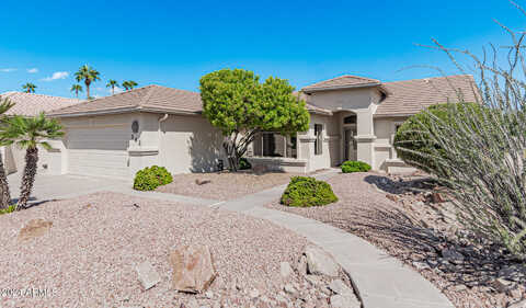 Beechnut, CHANDLER, AZ 85248