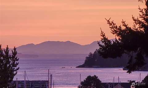 Sugarloaf, ANACORTES, WA 98221