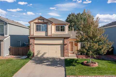 Hyacinth, HIGHLANDS RANCH, CO 80129