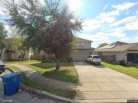 Toumey Oak, SAN ANTONIO, TX 78223