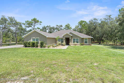 Mirage, WEEKI WACHEE, FL 34614