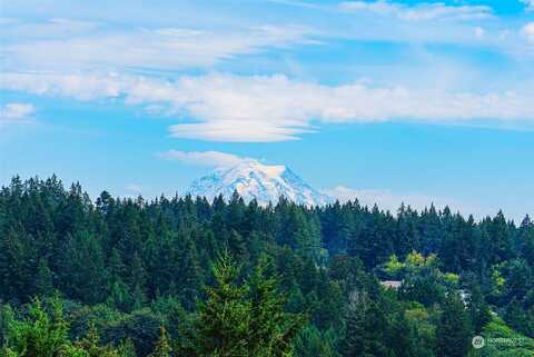 Peacock Hill, GIG HARBOR, WA 98332