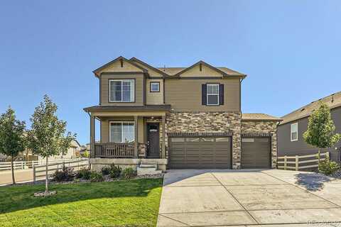 Rosette, CASTLE ROCK, CO 80104