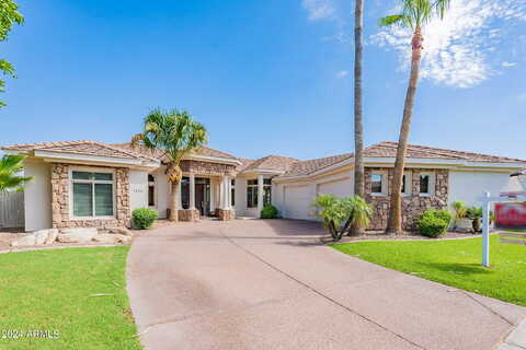 Camellia, CHANDLER, AZ 85248