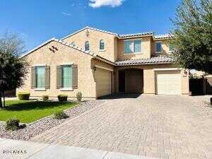 Carob, GILBERT, AZ 85298