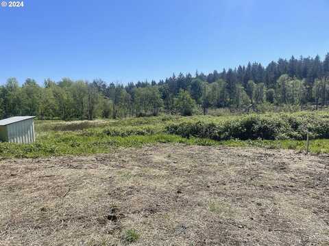 Leadbetter, CAMAS, WA 98607