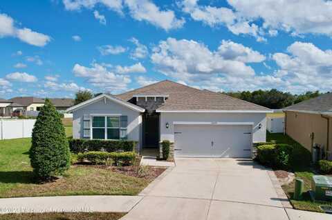 Paddington, SPRING HILL, FL 34609