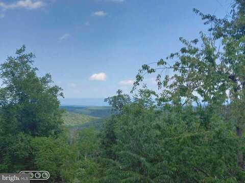 Supinlick Ridge, MOUNT JACKSON, VA 22842