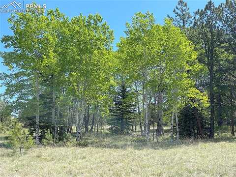 County Rd 421, FLORISSANT, CO 80816