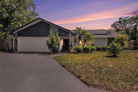 Bishop, SAFETY HARBOR, FL 34695