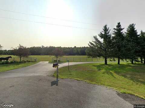 Whitetail, KRONENWETTER, WI 54455