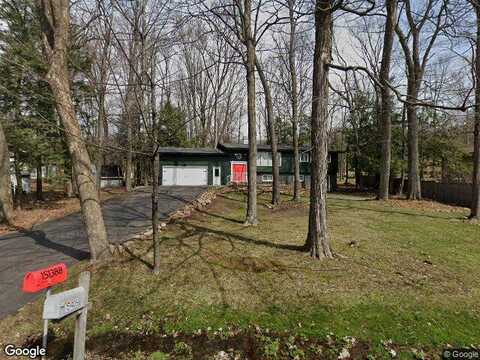 Jonquil, WAUSAU, WI 54401