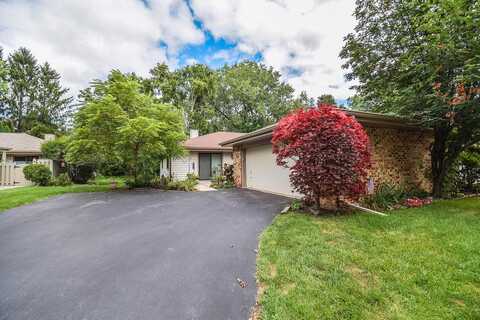 Aspen Tree, MEQUON, WI 53092