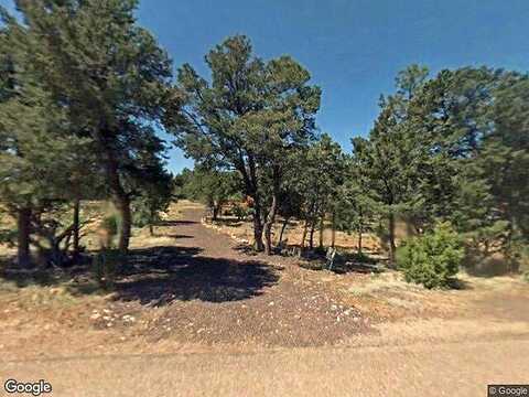 Roundup, HEBER, AZ 85928