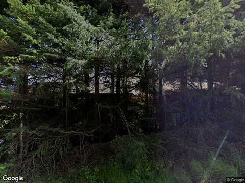 Lake Fenwick Road, Kent, WA 98032