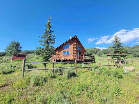 E Highway 330, Collbran, CO 81624