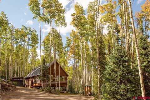 Forest Road, Creede, CO 81130