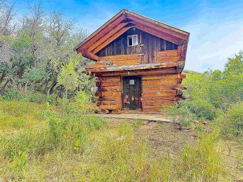 Docs Pond, CRAWFORD, CO 81415