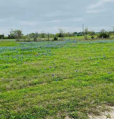 Century Farms, BURTON, TX 77835