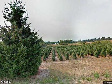 E Otter Loop, La Center, WA 98629