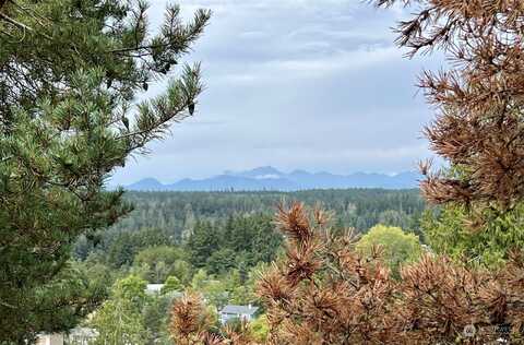 Vikings Crest Loop Ne, Poulsbo, WA 98370