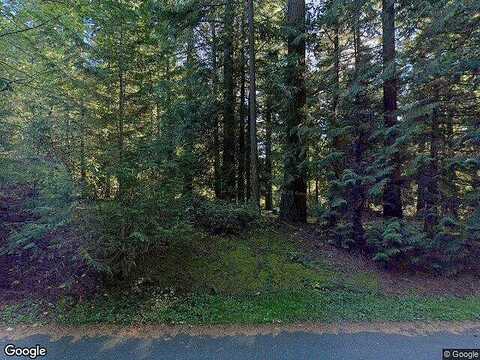 Ne 17Th (Homesite 6) Place, Sammamish, WA 98074
