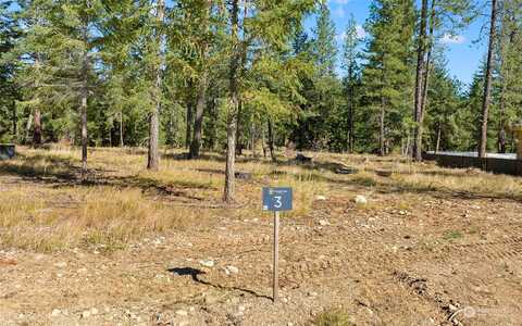 Domerie Park Loop, Cle Elum, WA 98992