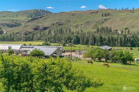 E Chewuch Road, Winthrop, WA 98862