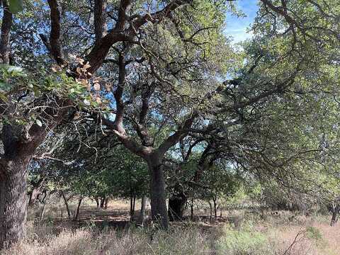 County Road 162, BRADY, TX 76825